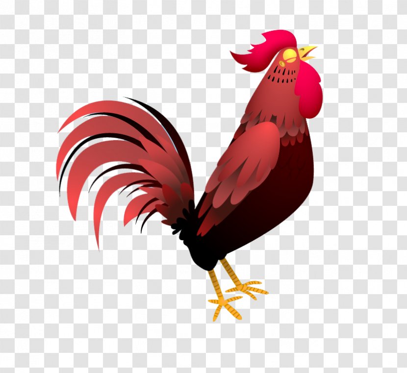 Rooster Chicken Drawing Cartoon - Livestock - Crow Transparent PNG