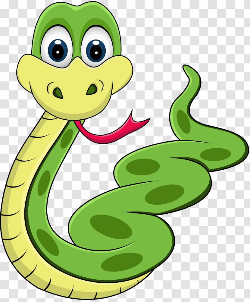 Snake Cartoon Clip Art - Photography - Anaconda Transparent PNG