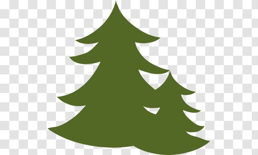Spruce Christmas Tree Fir Ornament Pine - Evergreen Transparent PNG