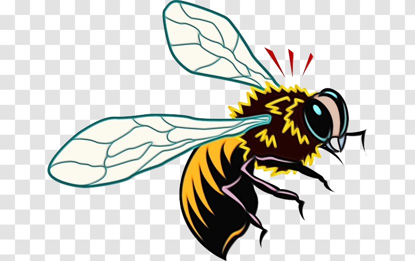 Bee Cartoon - Netwinged Insects - Hoverfly Blowflies Transparent PNG