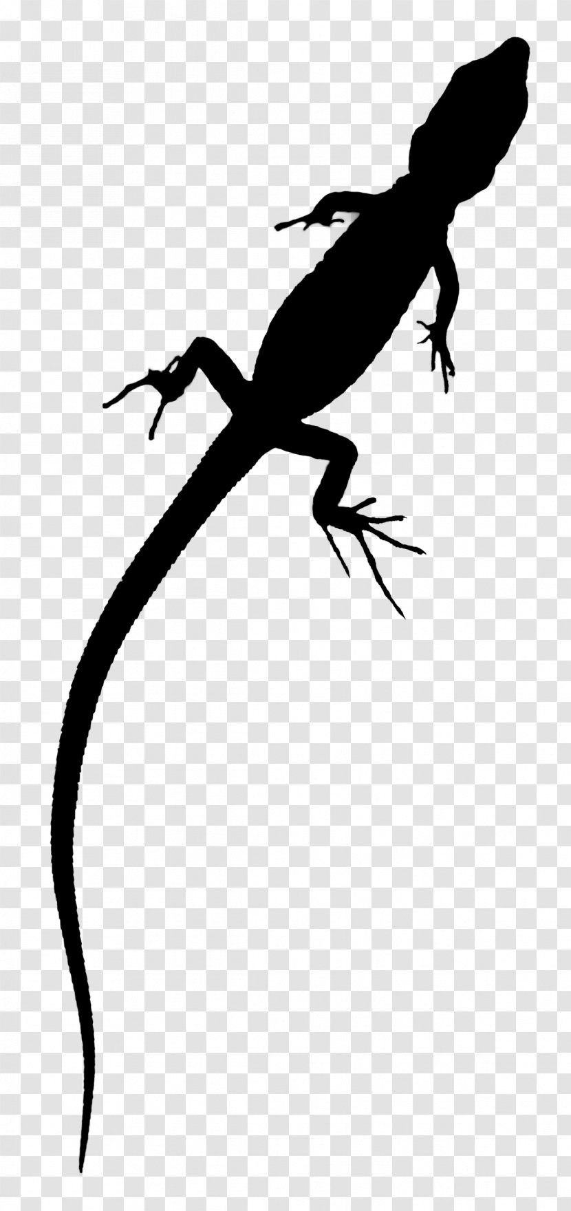 Lizard Amphibians Clip Art Fauna Line - Reptile Transparent PNG