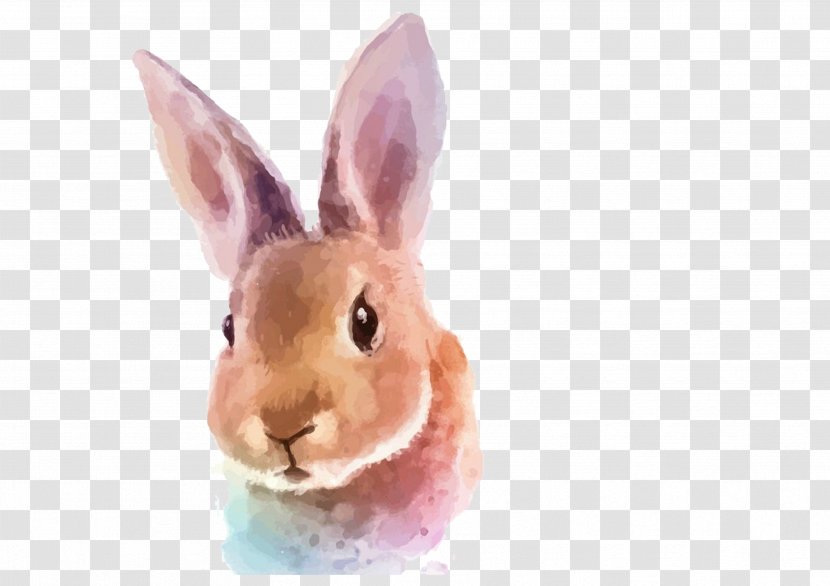 Watercolor Painting Rabbit Illustration - Stock Photography - Hand Painted Transparent PNG