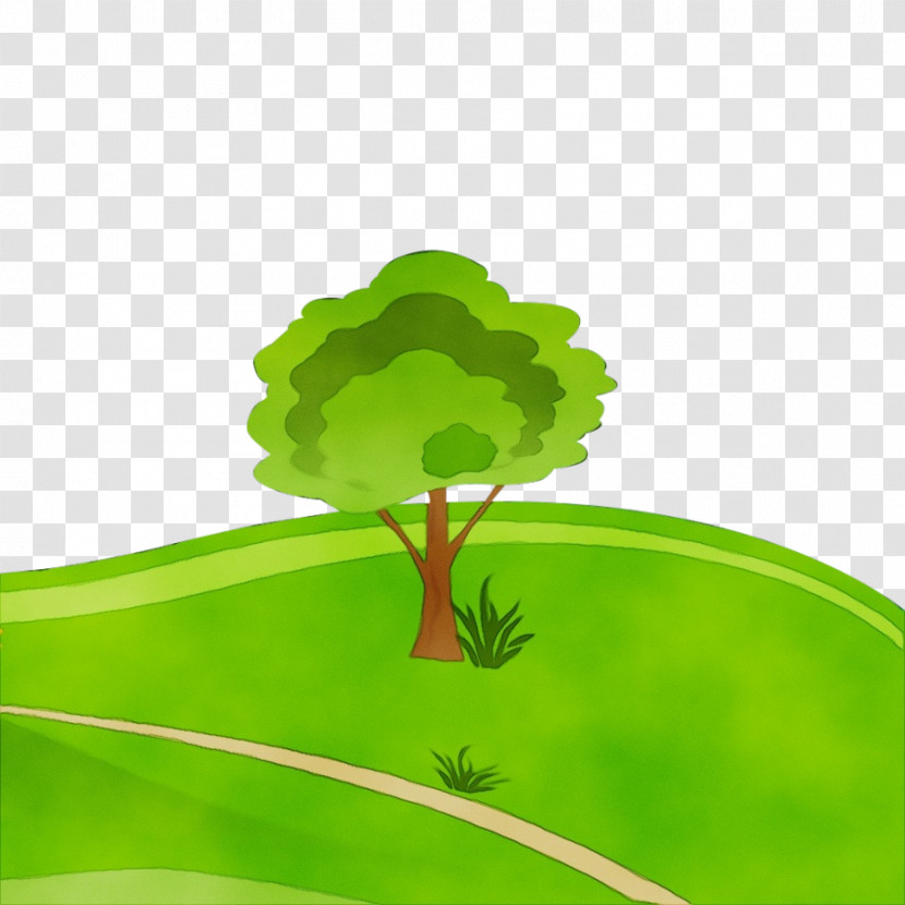 Green Leaf Plant Tree Leaf Vegetable Transparent PNG