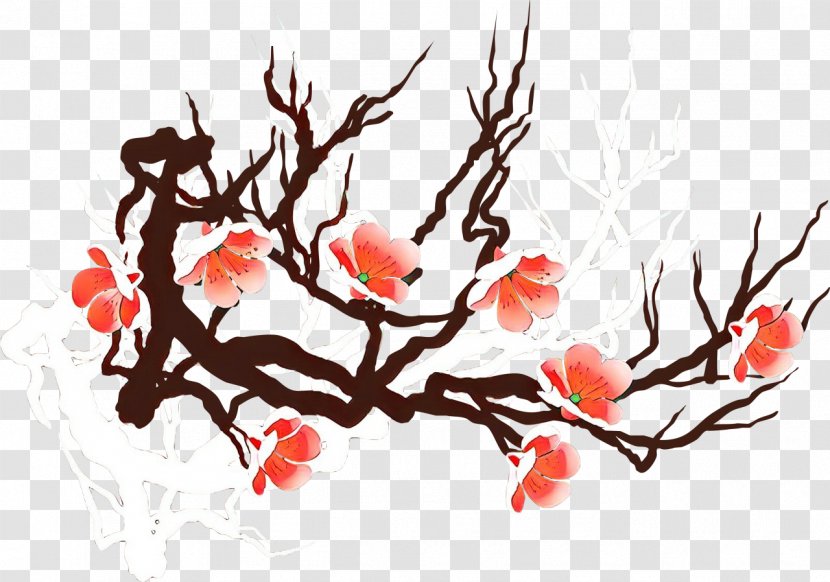 Cherry Blossom - Flower - Plant Stem Transparent PNG
