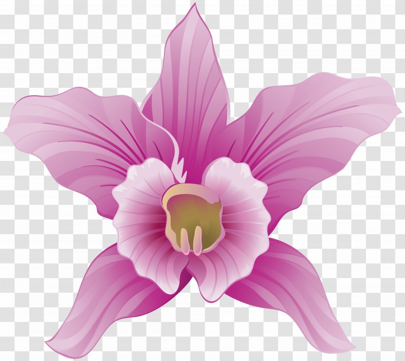 Image File Formats Lossless Compression - Magenta - Orchid Clipart Transparent PNG