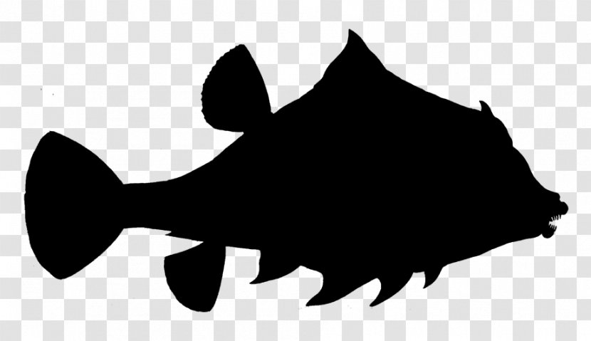 Fish Clip Art Fauna Silhouette Snout Transparent PNG