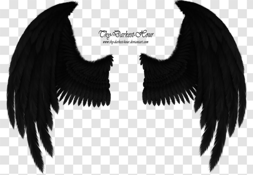 Bird Angel Wing American Crow Cherub - Black And White Transparent PNG