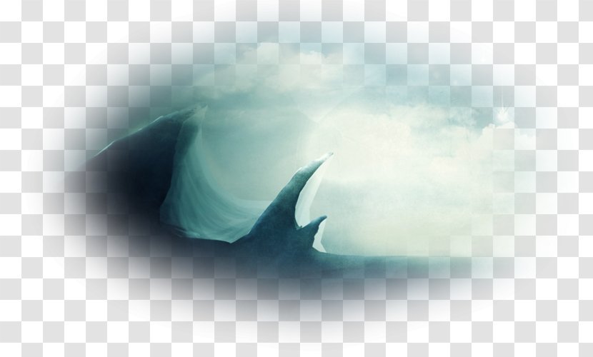 Water Marine Mammal Desktop Wallpaper Computer Close-up - Mountain Landscape Transparent PNG