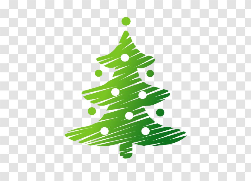 Christmas - Conifer - Leaf Transparent PNG