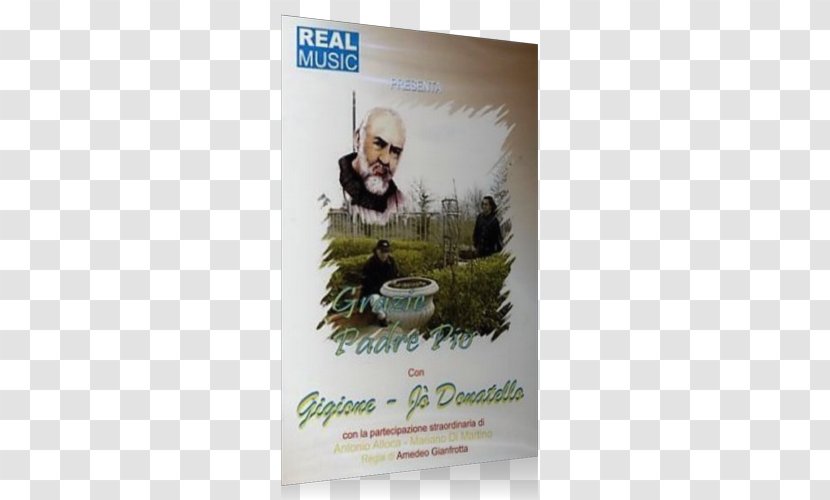 Poster Tree - Advertising - Padre Pio Transparent PNG
