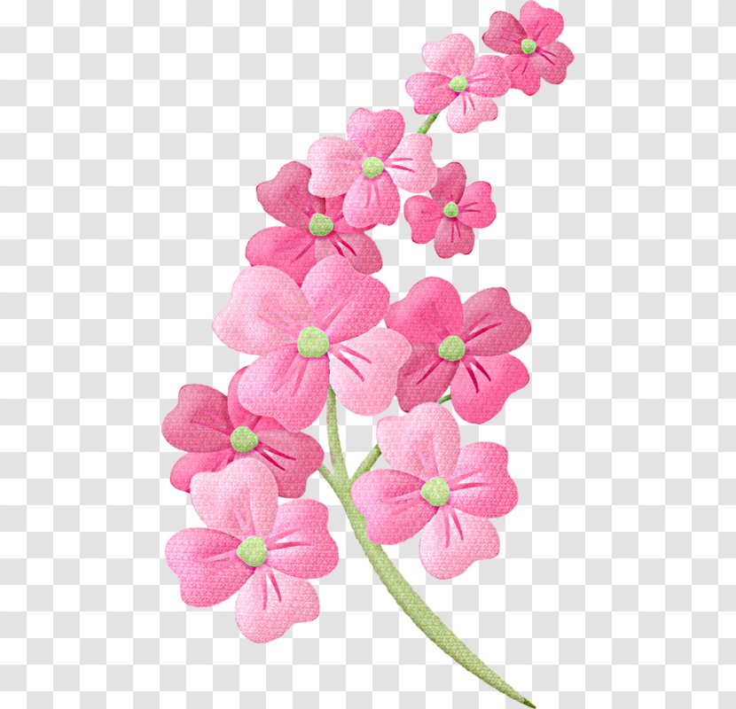 Flower Floral Illustrations Clip Art Transparent PNG