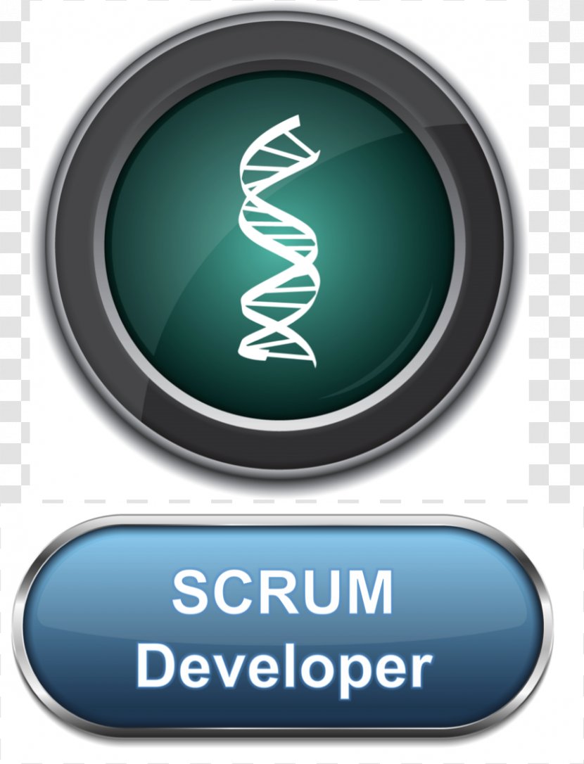 Scrum Agile Software Development Six Sigma Management CSPO - Certification - Master Transparent PNG