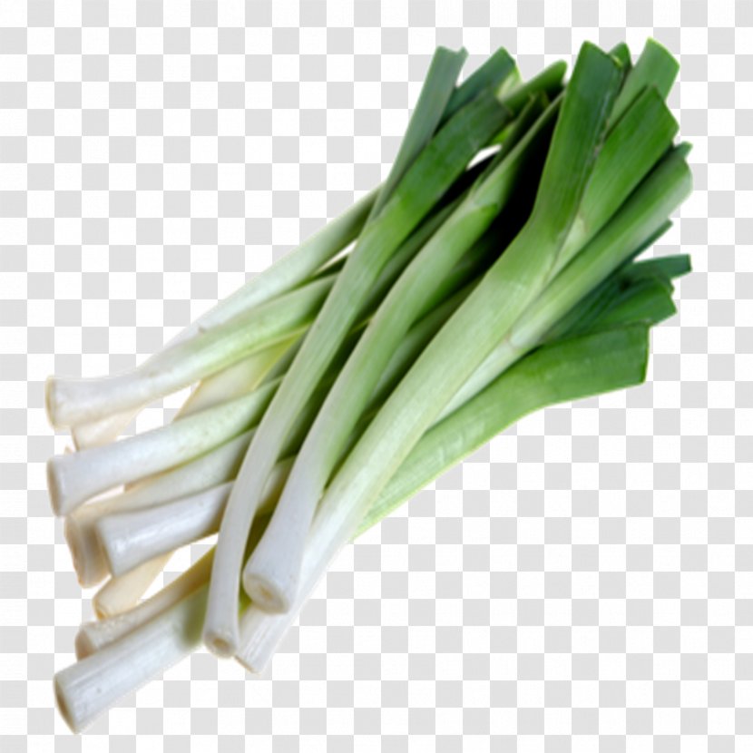 Vegetable Cymbopogon Citratus Leek Soup Onion - Welsh - Beans Transparent PNG