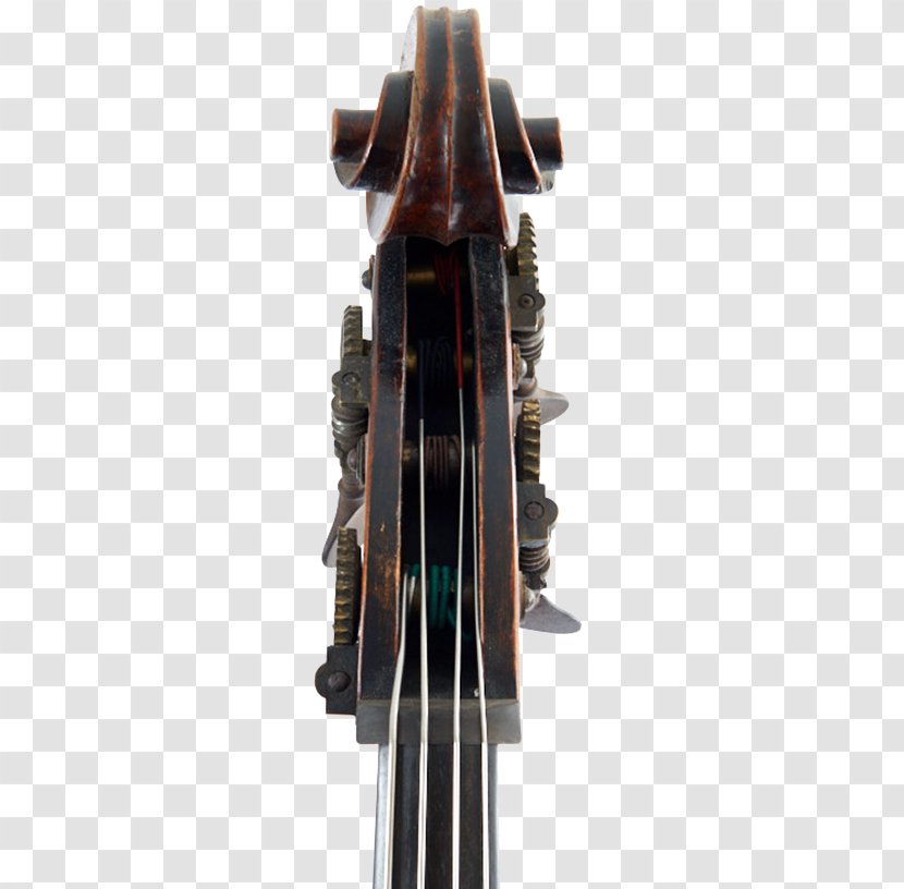 Cello Double Bass Violin Scroll - English Transparent PNG