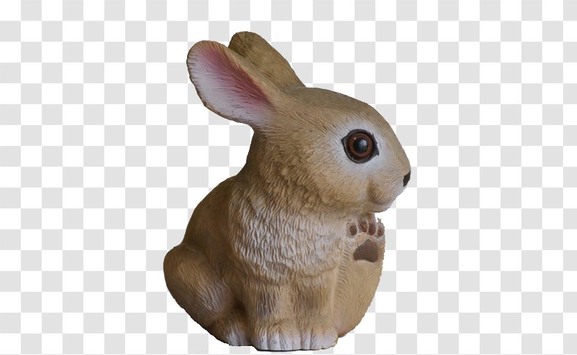 Domestic Rabbit Hare Fauna Snout Transparent PNG