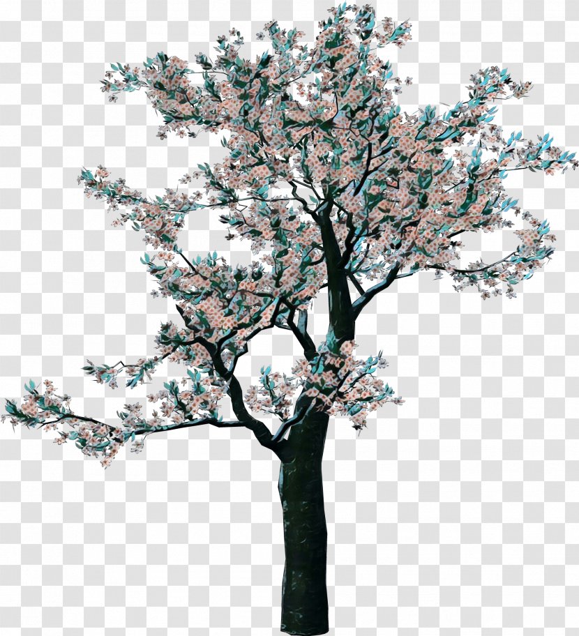Clip Art Transparency Tree Free Content - Plant - Flowering Transparent PNG