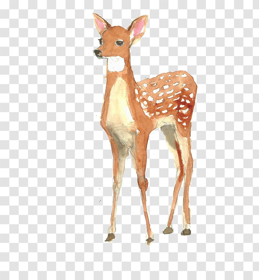 Watercolor Painting Poster Illustration - Art - Deer Transparent PNG