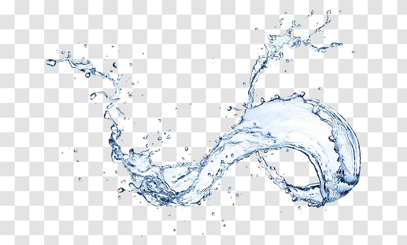 Stock Photography Drinking Water Stock.xchng Royalty-free Transparent PNG
