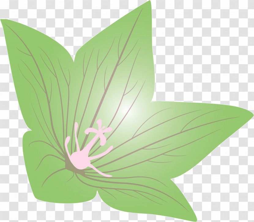 Balloon Flower Transparent PNG