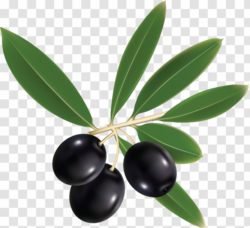 Olive Oil Mediterranean Basin Italian Cuisine - Fruit Transparent PNG