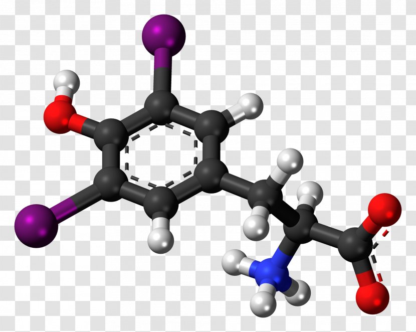 Diiodotyrosine Thyroid Hormones Amino Acid - Thyroidstimulating Hormone Transparent PNG