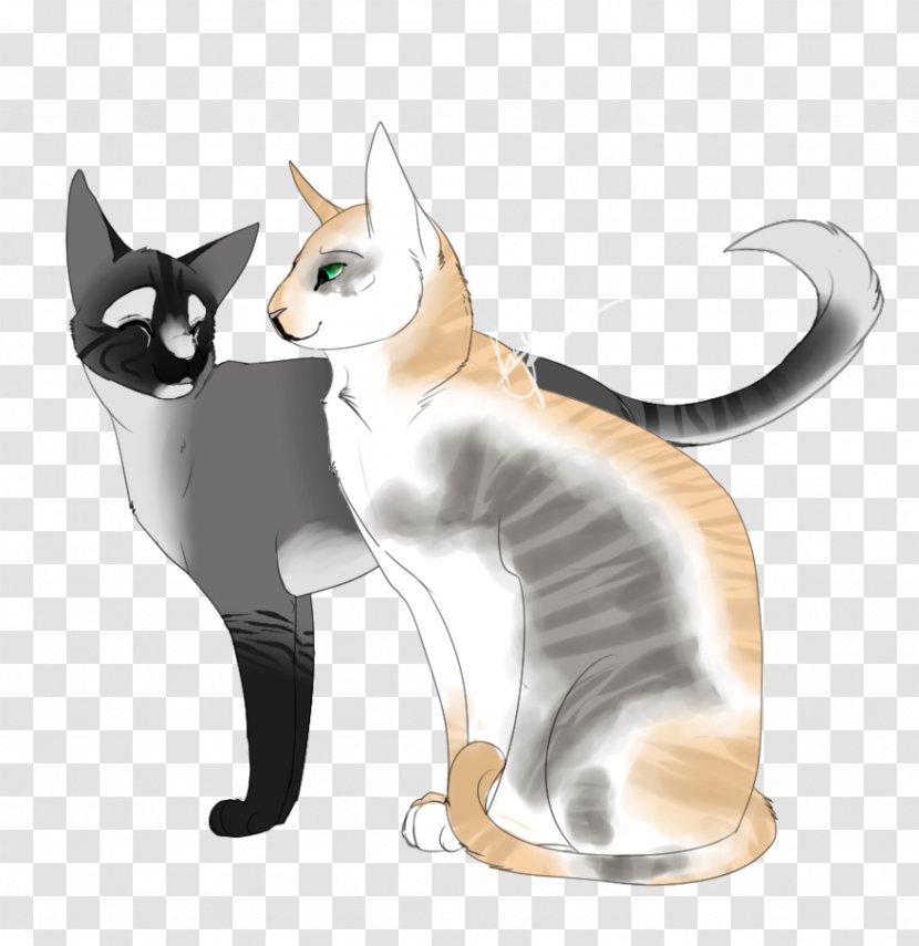 Whiskers Kitten Domestic Short-haired Cat Tabby - Dog Transparent PNG