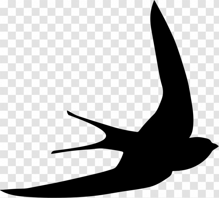 Bird - Finger - Wing Transparent PNG