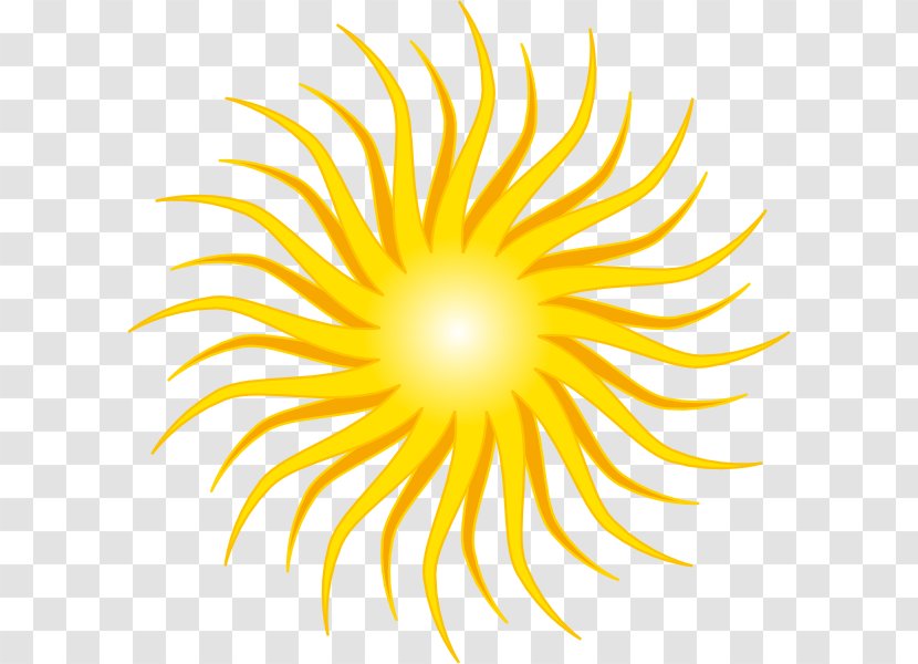 Sunlight Free Content Clip Art - Petal - Sun Vectors Transparent PNG