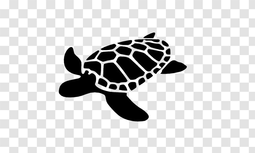 Sea Turtle Decal Silhouette Stencil - Reptile Transparent PNG