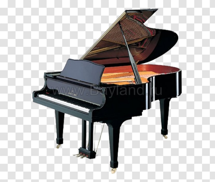 Grand Piano Kawai Musical Instruments Blüthner Grotrian-Steinweg - Flower Transparent PNG