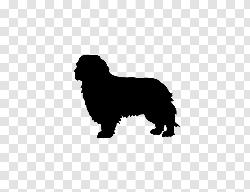 Newfoundland Dog Puppy Cavalier King Charles Spaniel Breed - Group - Chinese Crested Transparent PNG
