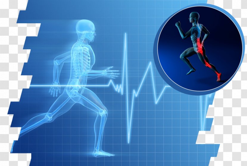 Exercise Physiology Sports Science Transparent PNG
