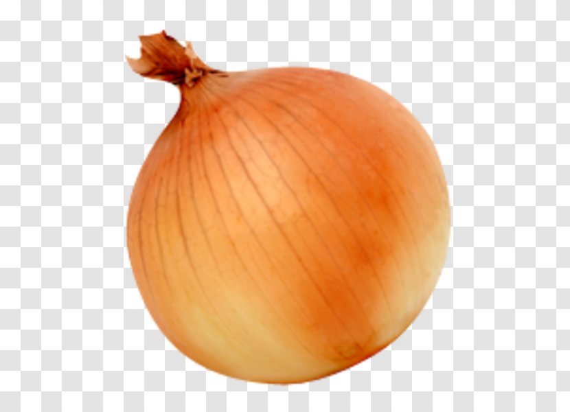 White Onion Yellow Vegetable - Plant Transparent PNG