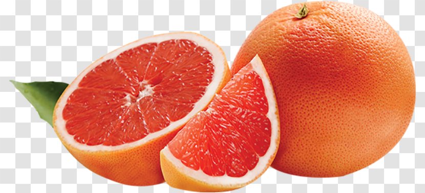 Blood Orange Grapefruit Juice Tangelo Rangpur - Food Transparent PNG