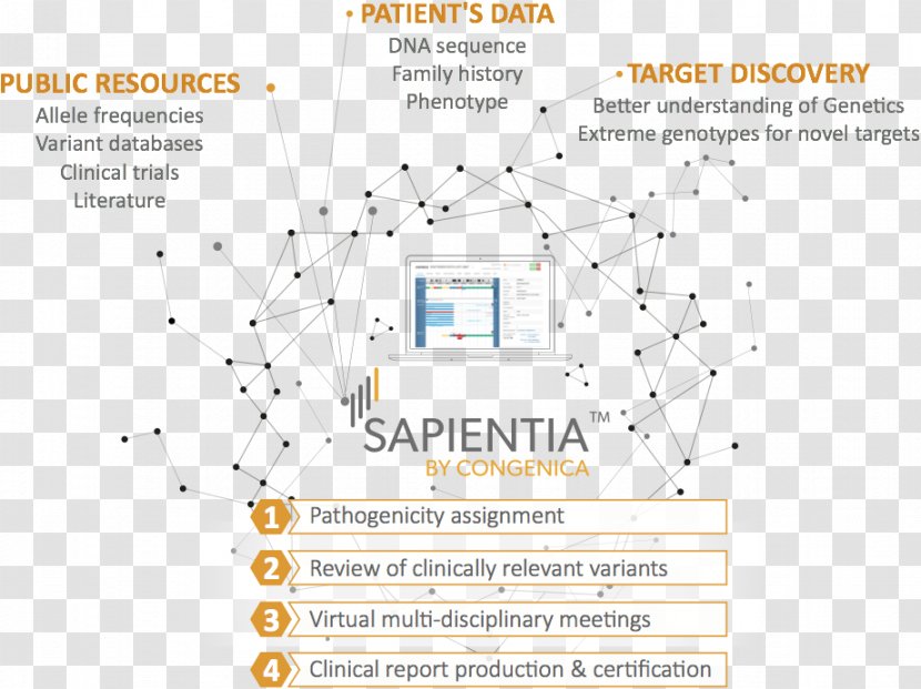 Organization Document Line - Diagram Transparent PNG