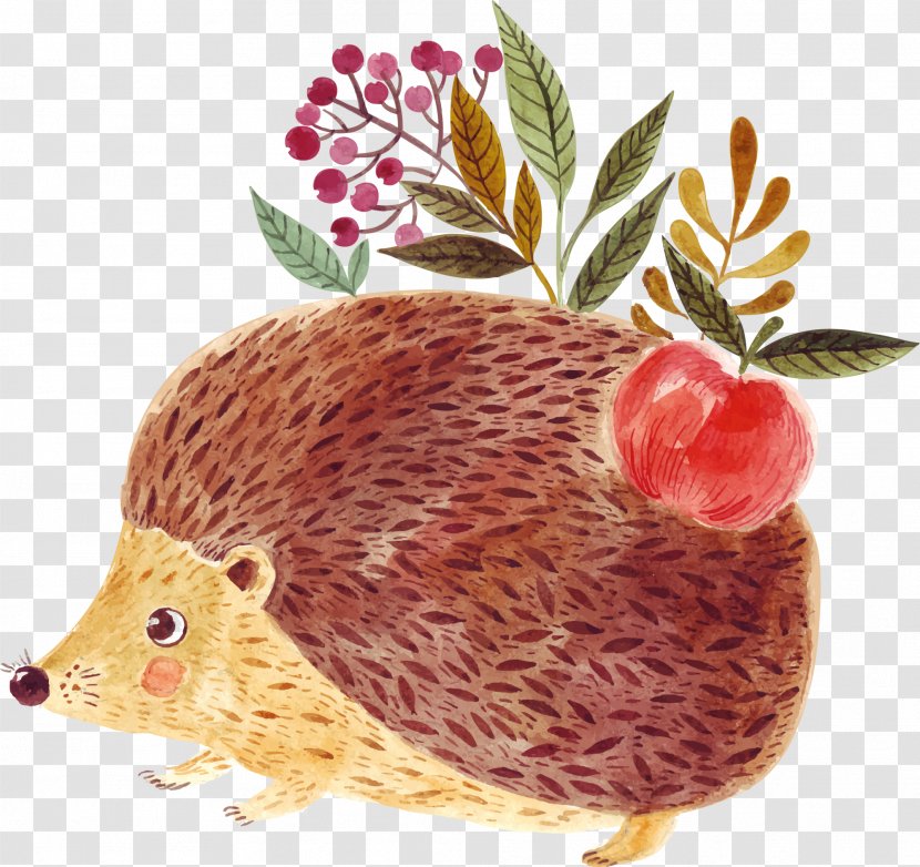 Hedgehog Drawing Illustration - Cuteness - Coffee Lovely Transparent PNG
