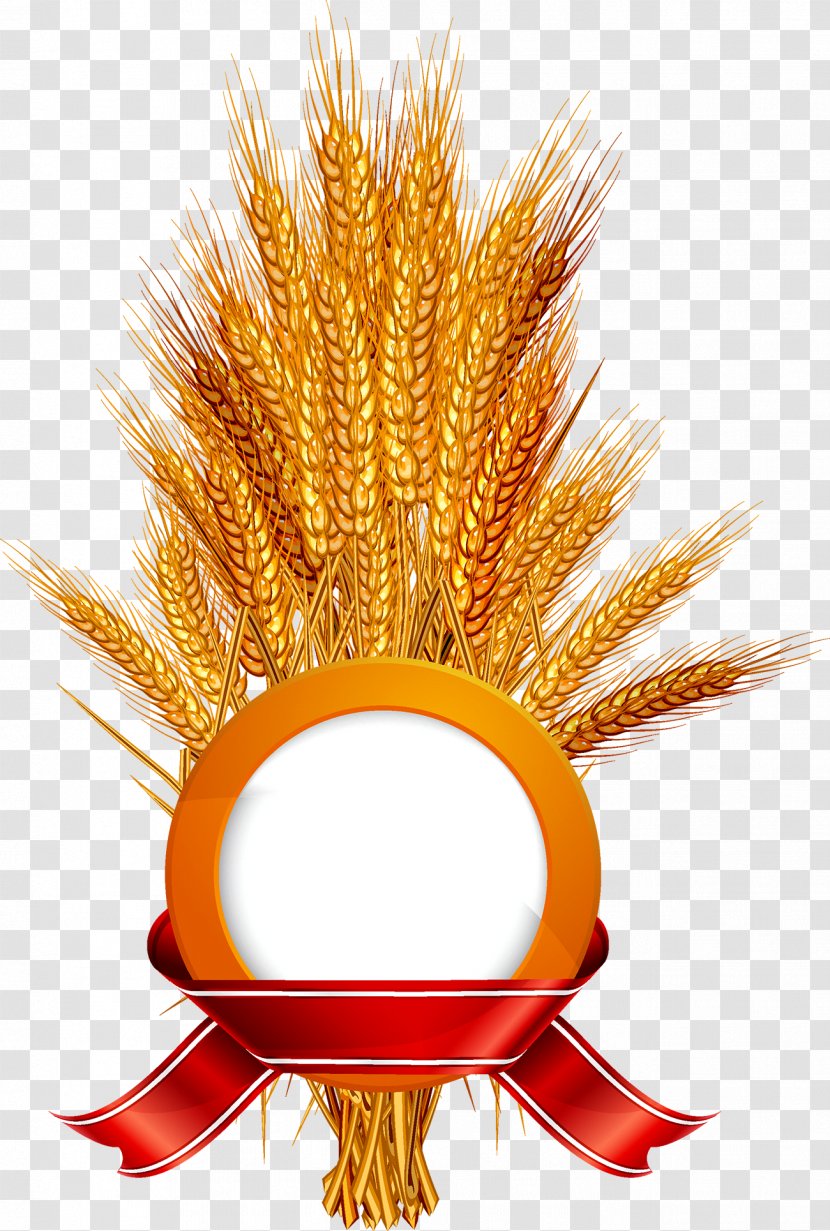 Wheat Label Ear Illustration Transparent PNG