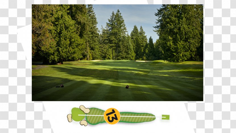 Golf Clubs Course Biome Meadow Transparent PNG