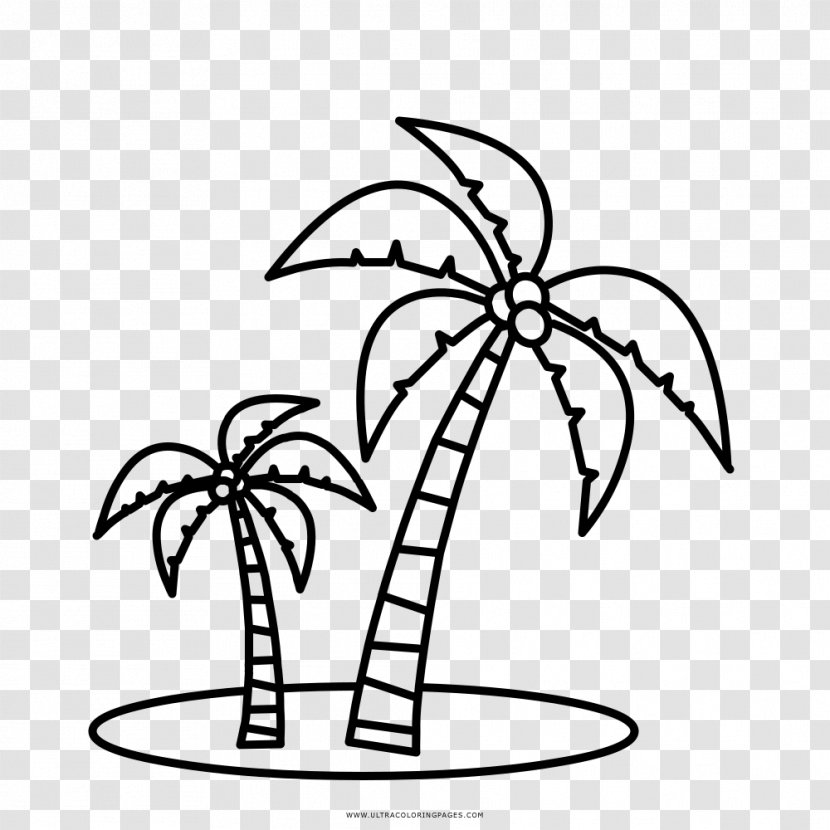 Coloring Book Arecaceae Drawing Child Number - Creativity - Casa Vector Transparent PNG