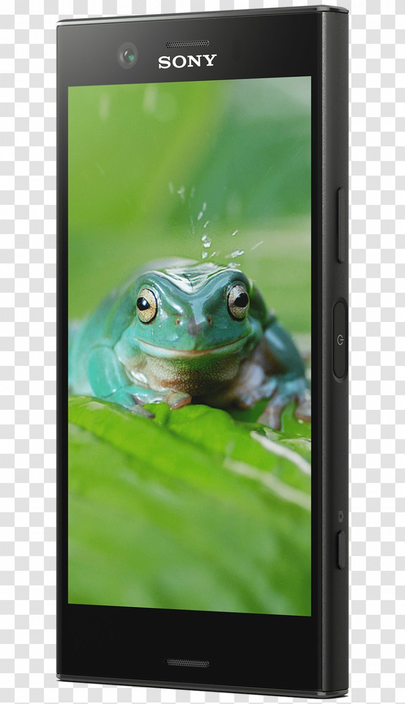Sony Xperia XZ1 X Compact Smartphone 索尼 19 Mp Transparent PNG