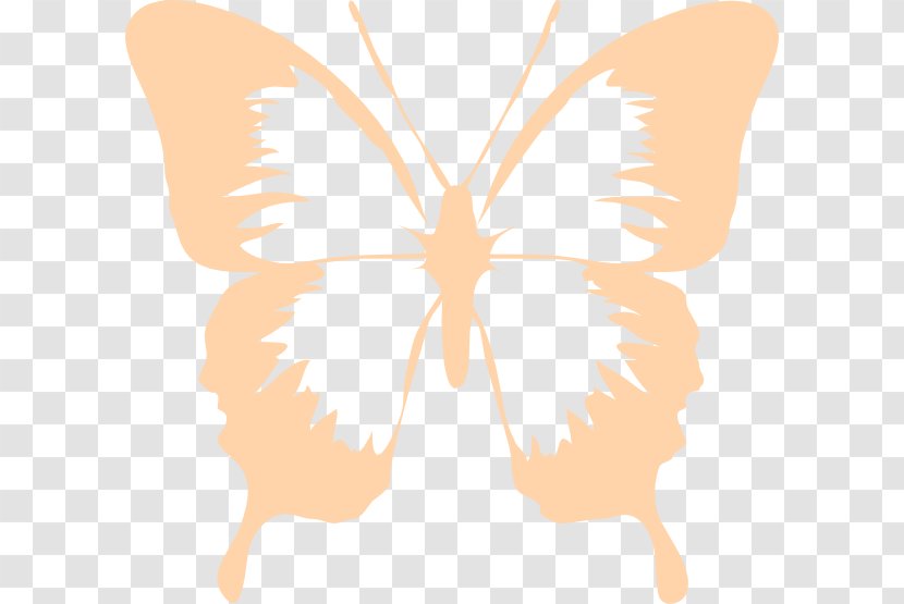 Monarch Butterfly Clip Art - Arthropod Transparent PNG