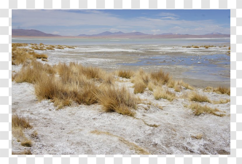 Tundra Steppe Ecoregion Shrubland Inlet - Sky - Plc Transparent PNG