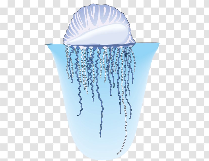 Jellyfish Nekton Aquatic Animal Water Organism - Cnidaria Transparent PNG
