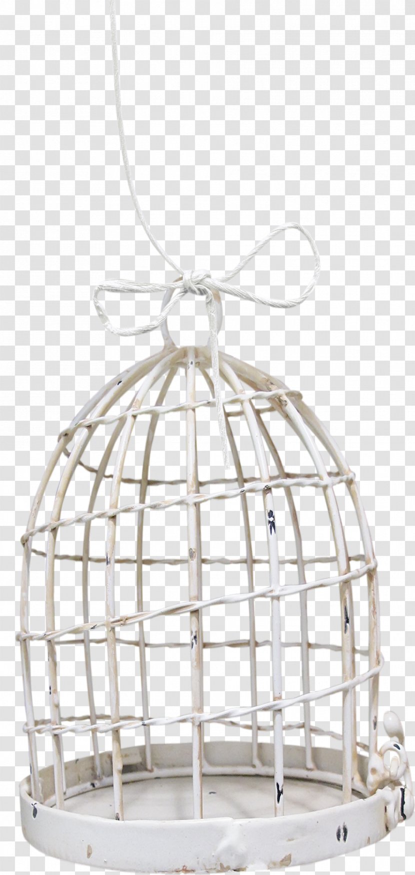 Cage Bird Product Design Highway M06 Painting Transparent PNG