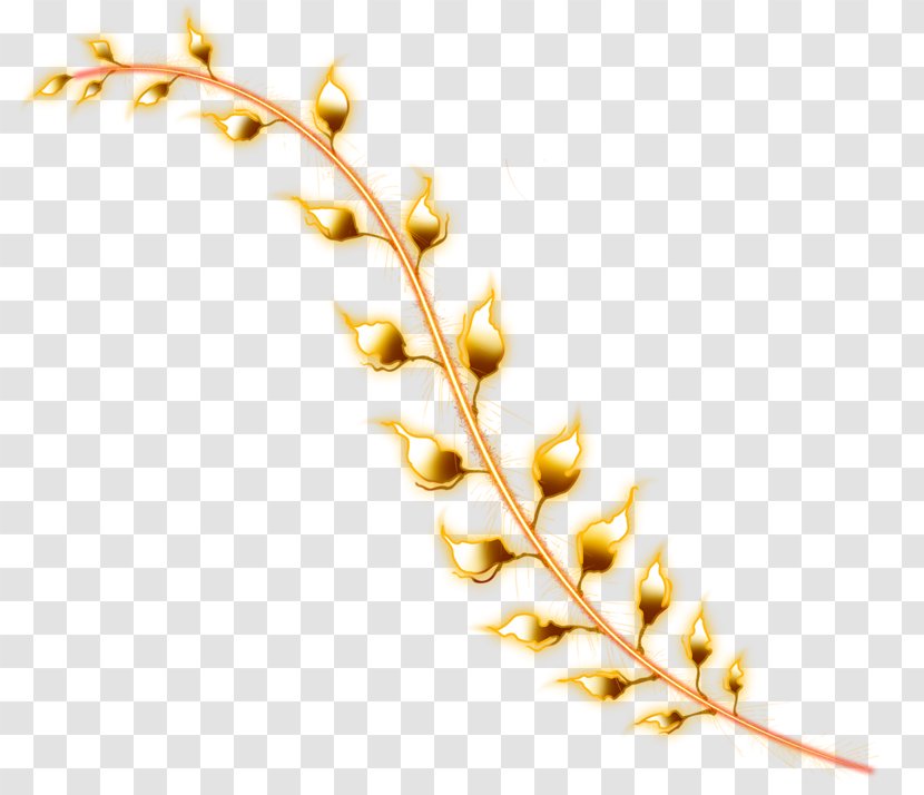 Vignette Photography Clip Art - Branch Transparent PNG