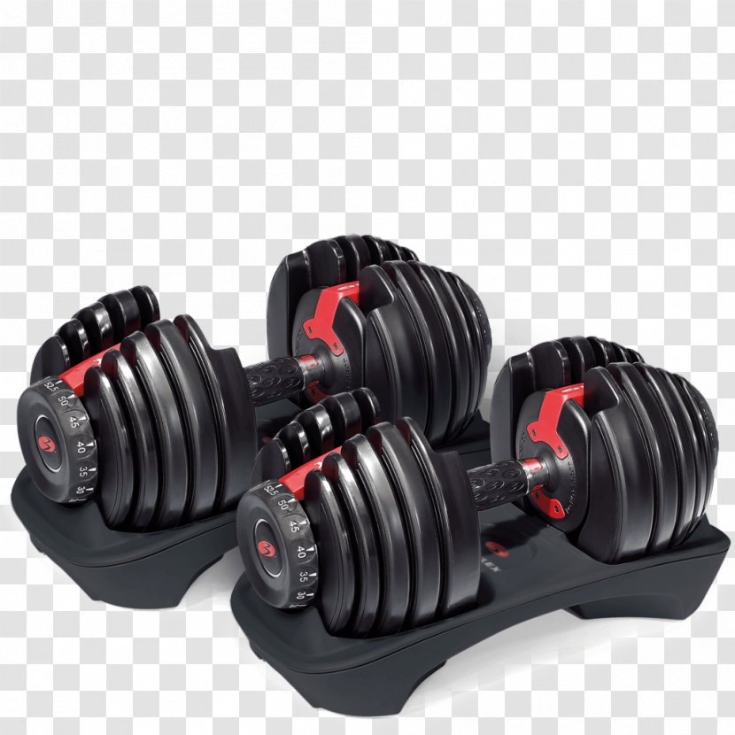 Dumbbell Bowflex Weight Training Strength Physical Exercise - Situp Transparent PNG