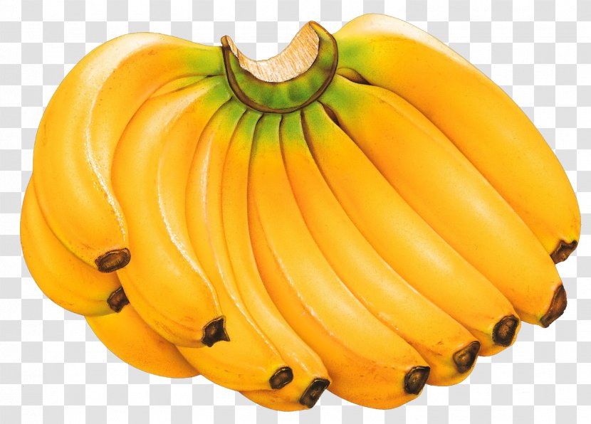 Cartoon Banana - Squash - Winter Transparent PNG