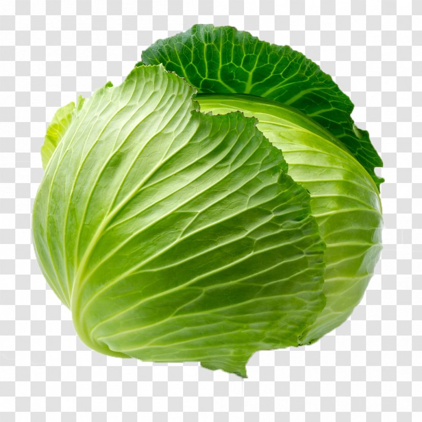 Cabbage Leaf Vegetable Blanching - Lettuce - Green Transparent PNG