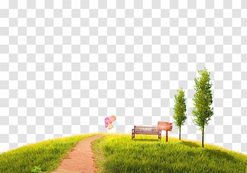 Lawn - Green Path Park Border Texture Transparent PNG