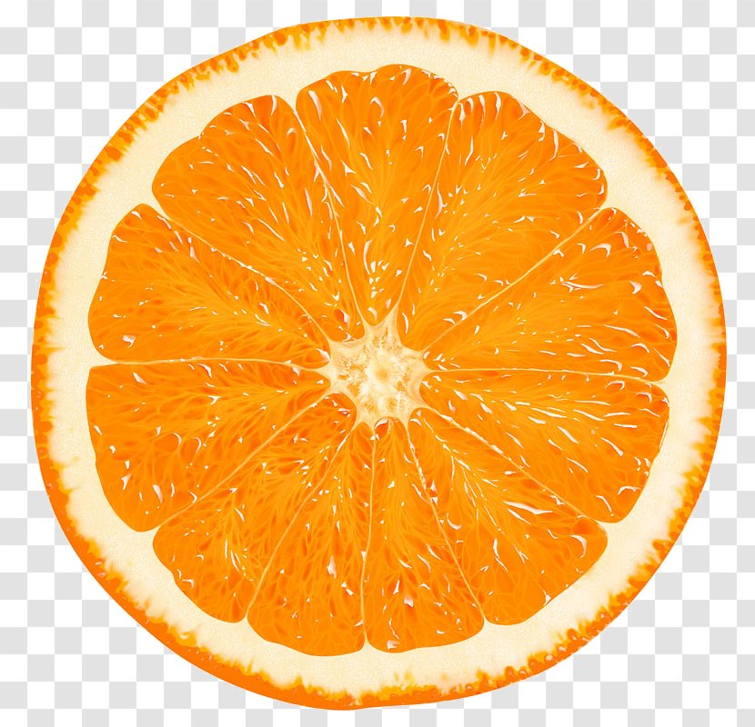 Orange Slice Tangerine Clip Art Citrus × Sinensis - Ingredient Transparent PNG